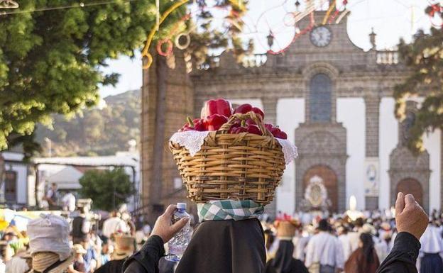 Las Fiestas del Pino, pendientes de la evolución de la pandemia