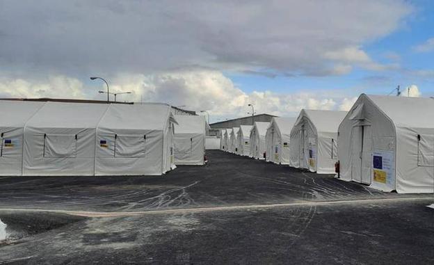 Las pruebas de edad detectan 205 adultos