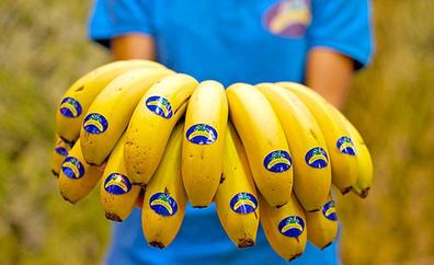 Plátano de Canarias lanza un nuevo etiquetado con información nutricional