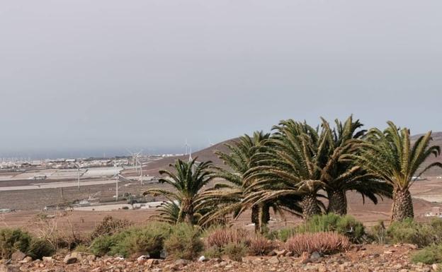 Vientos de 70 kilómetros por hora, olas de cuatro metros y calima