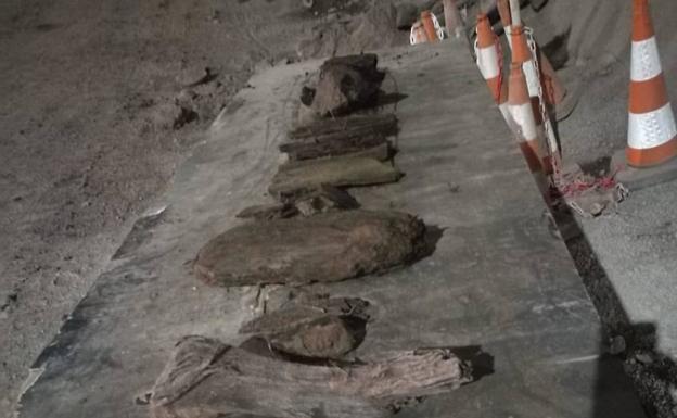 Aparecen nuevos restos de árboles en las obras del túnel de la carretera de La Aldea