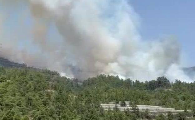 Así se ve el incendio forestal de Arico desde el sur de Tenerife