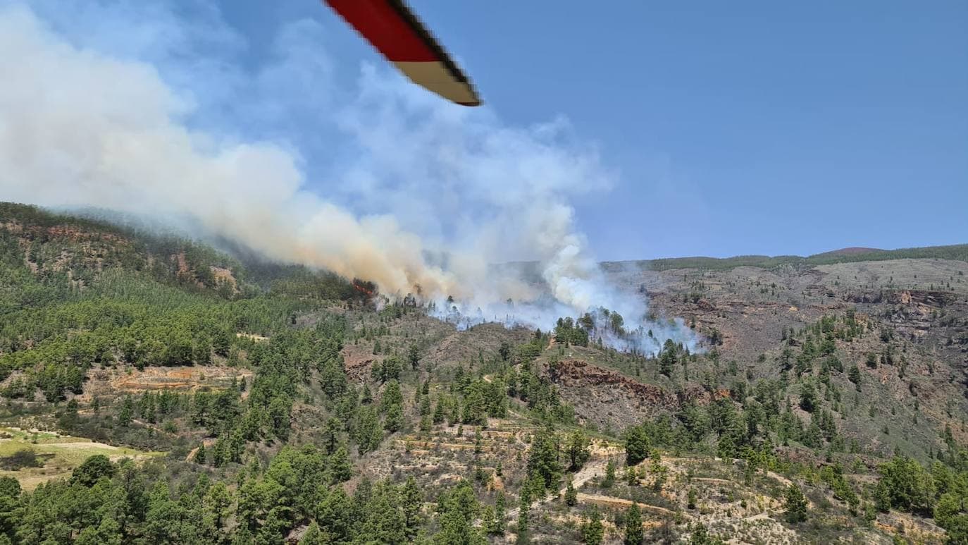 Declarado Un Incendio Forestal En Arico Canarias7