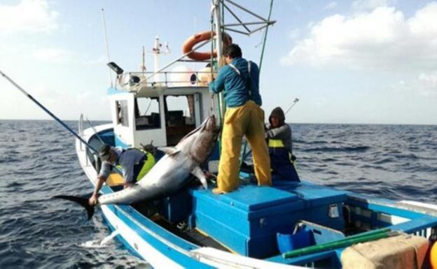 El Cabildo reparte 180.000 euros entre las tres cofradías de pescadores