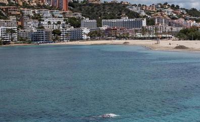 La ballena encontrada en Mallorca, vista anoche rumbo a la bahía de Palma