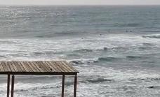 Canarias afronta un fin de semana con viento, oleaje, calor y calima