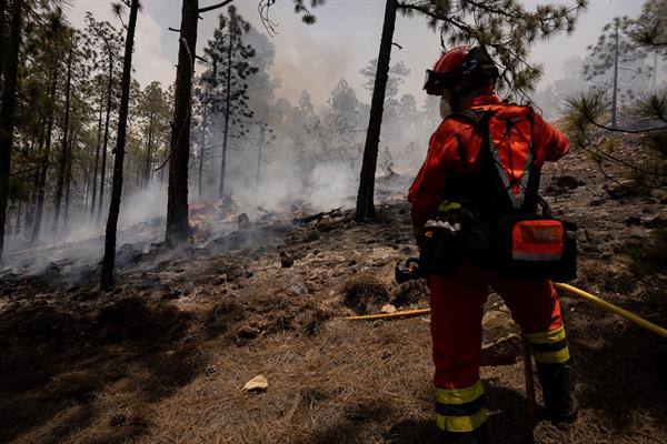 El Parque Nacional del Teide cierra senderos ante la gravedad del fuego