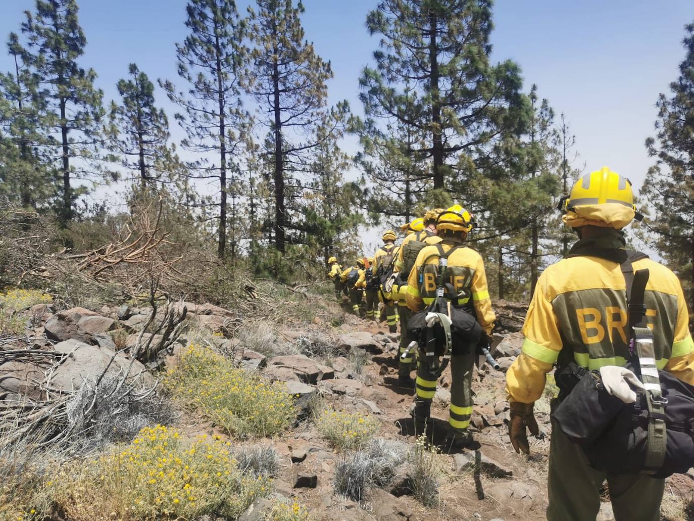 Vídeo: Zonas quemadas de Arico desde el aire