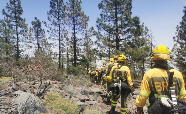 Estabilizado el perímetro de las 3.300 hectáreas afectadas por el fuego en Arico