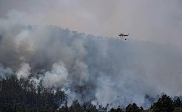 La superficie afectada en el incendio de Tenerife se reduce a 3.000 hectáreas