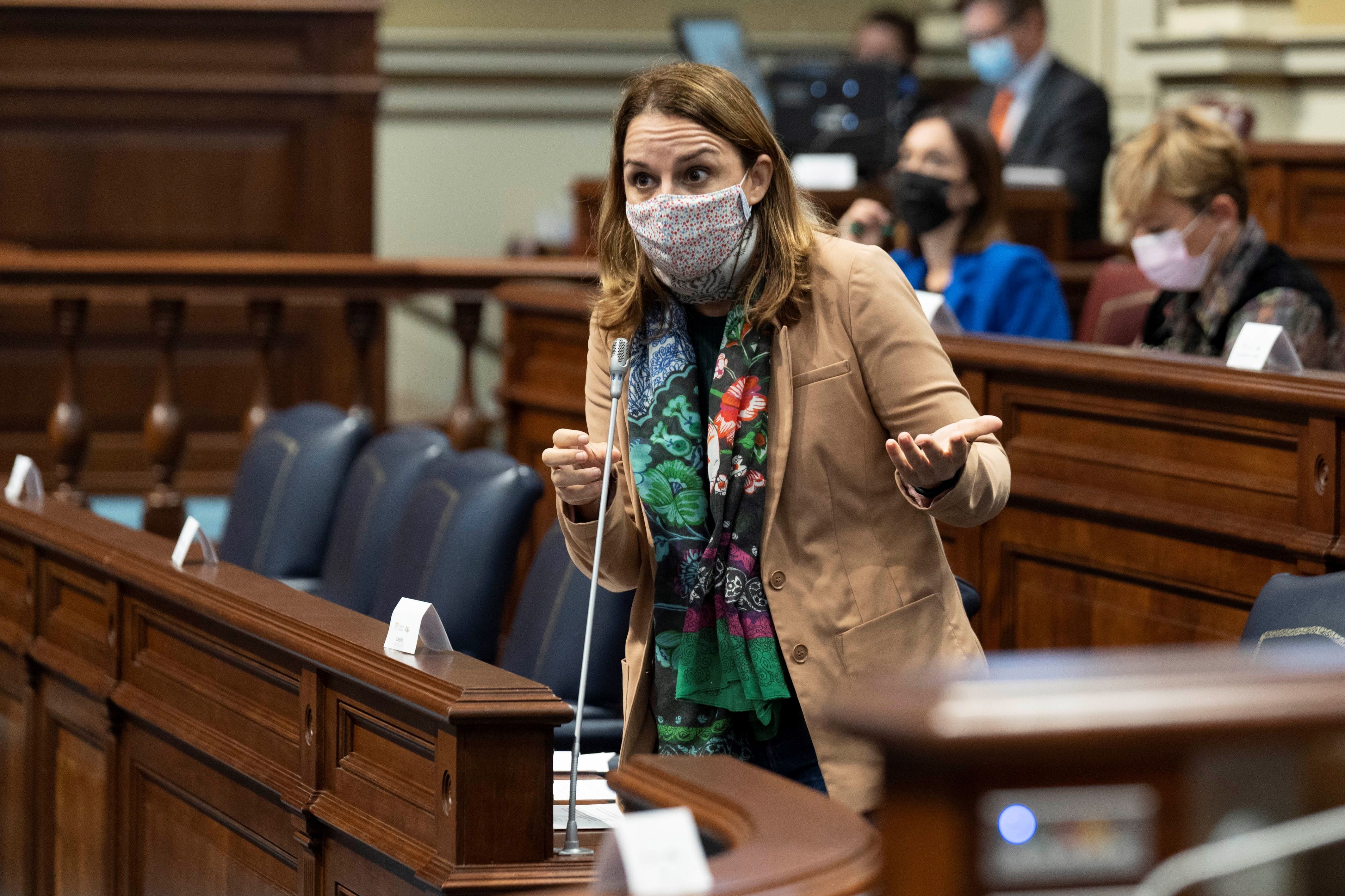 Santana reconoce su descontento por el escaso número de rentas vitales aprobadas