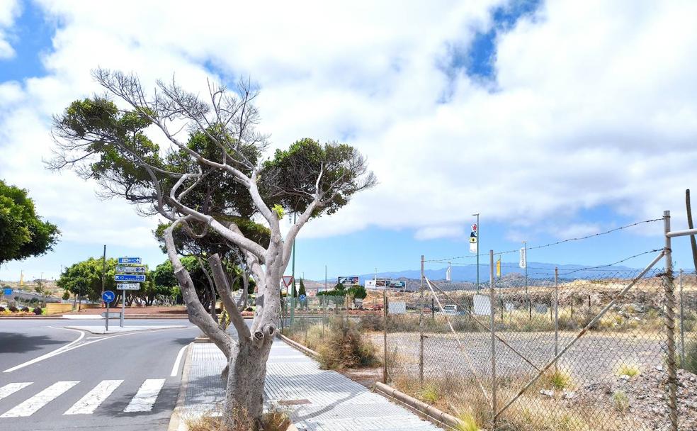 La gasolinera que se cayó del pleno municipal
