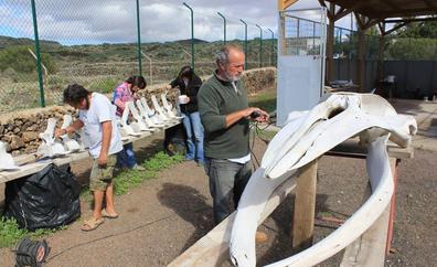 Fallece Manolo Carrillo, uno de los pioneros en el estudio de los cetáceos en Canarias