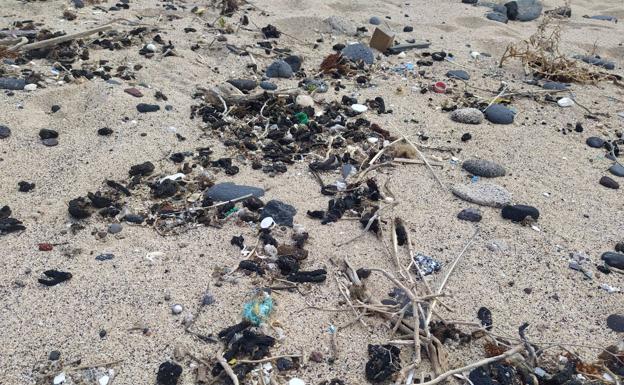 Los microplásticos amenazan al paraíso canario