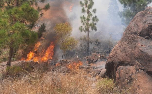 Controlado un incendio en Mogán que afectó a entre 3 y 4 hectáreas