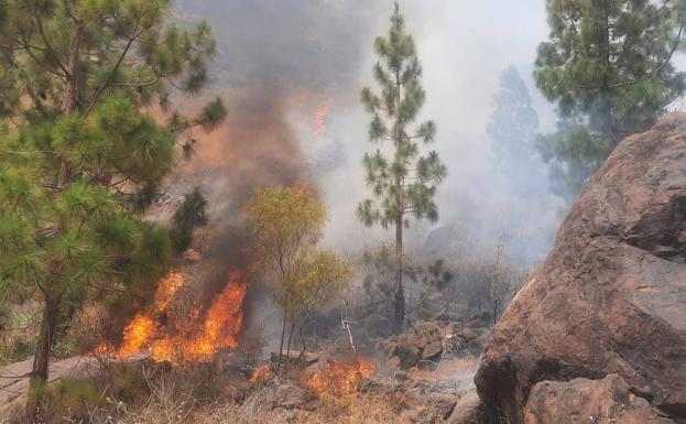 Incendio forestal en Mogán, en el barranco de Los Albarianes