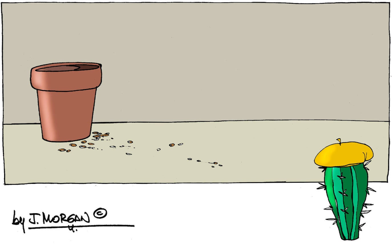 El humor de Morgan de este martes 15 de junio