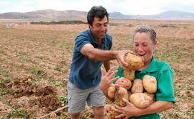 Antigua acoge este domingo el primer mercadillo agrícola