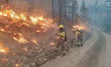 300.000 euros para paliar los daños del incendio de Arico