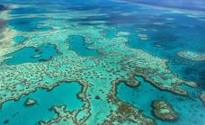 Australia se opone a declarar «en peligro» la Gran Barrera de Coral