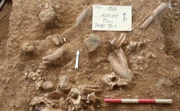 Restos de un nuevo tipo de humano primitivo encontrados en Israel./EFE