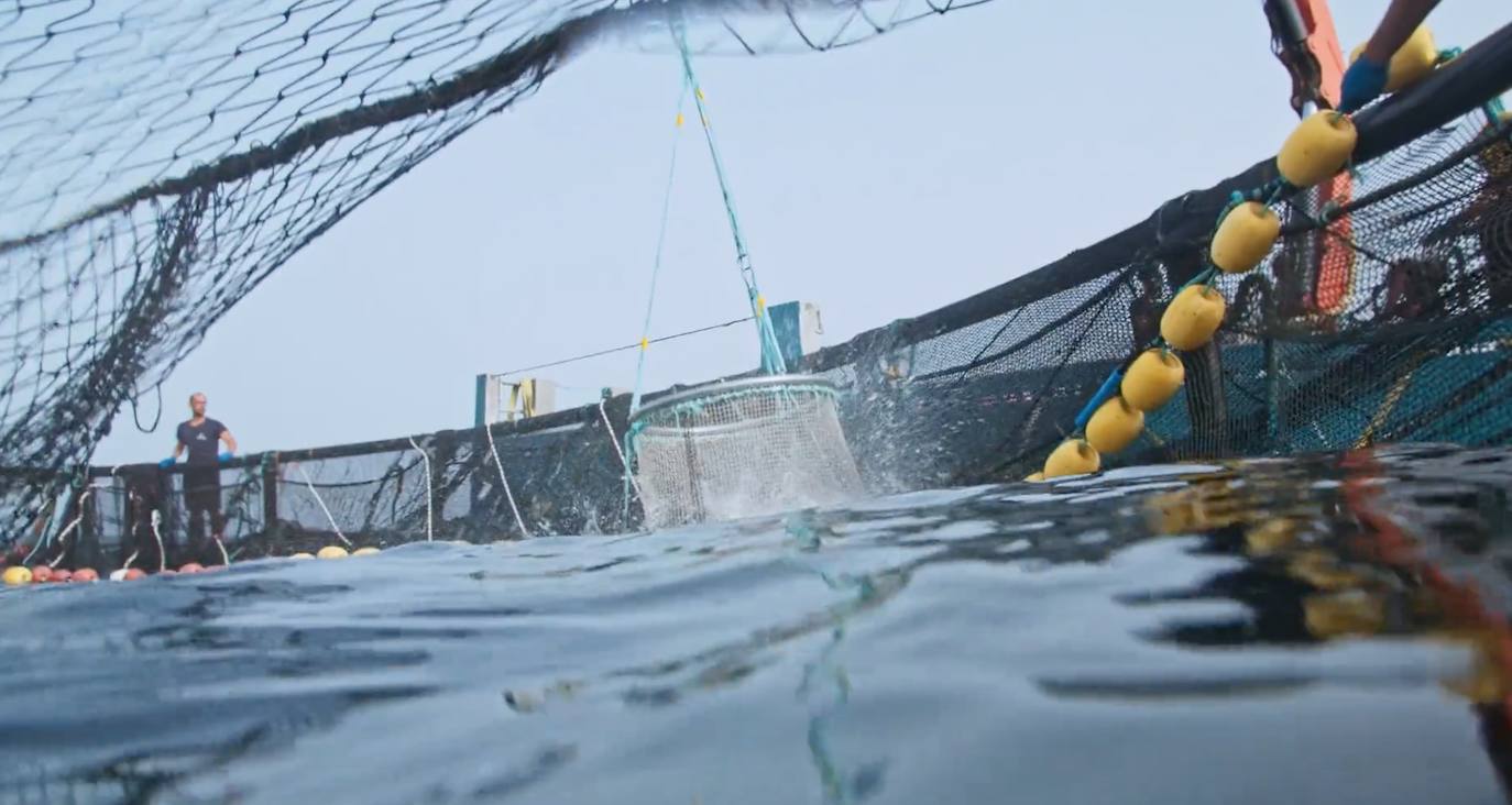 Pesca saca a concurso una concesión acuícola entre Arinaga y Juan Grande