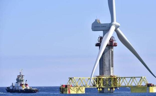 Más de 5.000 proyectos para una Canarias más verde