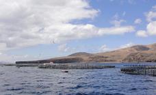 Tres playas con bandera negra por contaminación en Canarias