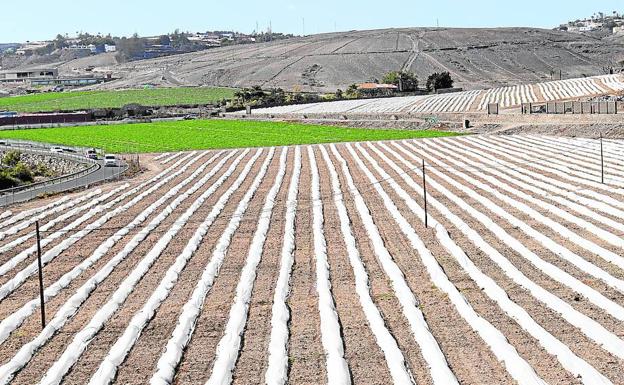 Un puente entre agricultores y ONG