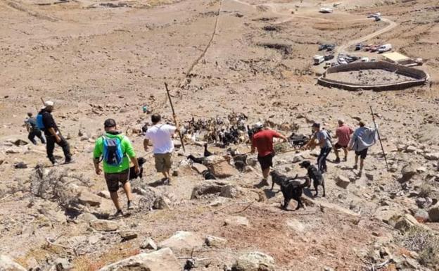 El Cabildo se va de apañada en Bácher con La Cabra Morisca
