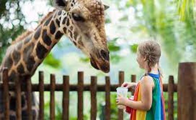 El Oasis Wildlife de La Lajita amplía el horario de martes a domingo