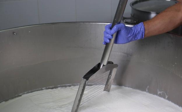 El Gobierno de Canarias convoca las ayudas al sector lácteo