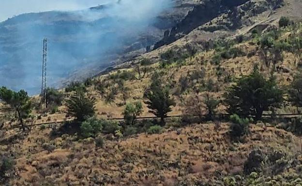 Controlado el conato de incendio en la Degollada de Las Palomas