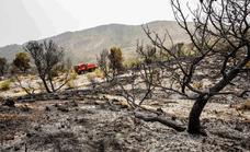 El cambio climático aumenta las condiciones ideales para los incendios