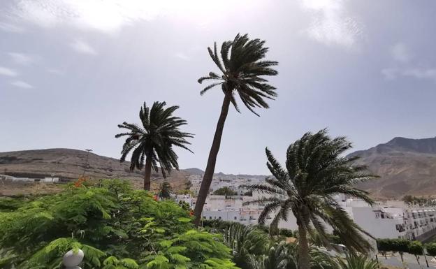 La ola de calor ya afecta a Gran Canaria