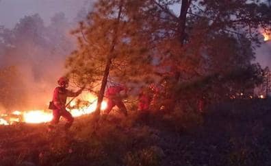 Canarias, en alerta por riesgo de incendio forestal