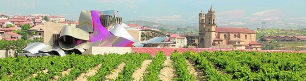 Descubre Álava, un paraíso gastronómico