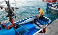 Canarias recibe 88 millones de euros del Fondo Europeo Marítimo, de Pesca y Acuicultura hasta 2027