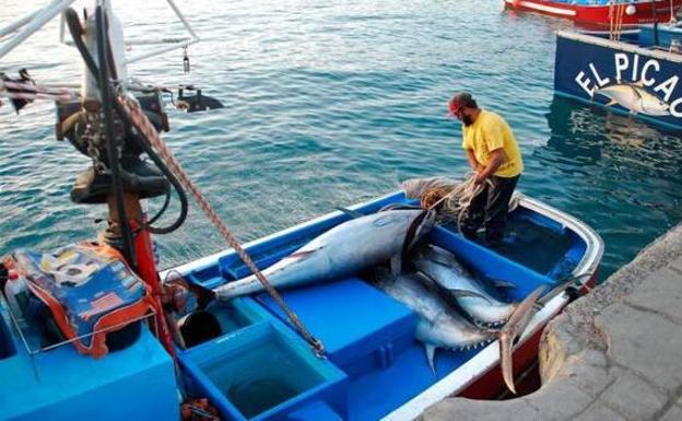 Canarias recibe 88 millones de euros del Fondo Europeo Marítimo, de Pesca y Acuicultura hasta 2027