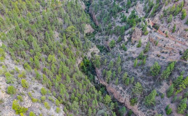Conato de incendio en el Barranco del Río