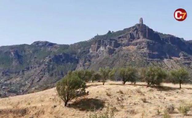 Plan de fin de semana: Tejeda