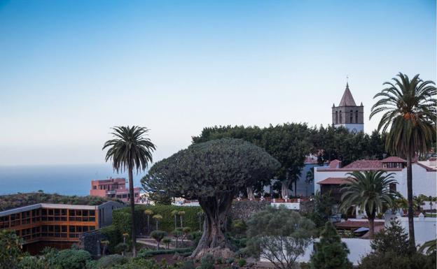 Turismo destina 400.000 euros para culminar la renovación del Centro de Interpretación de El Drago