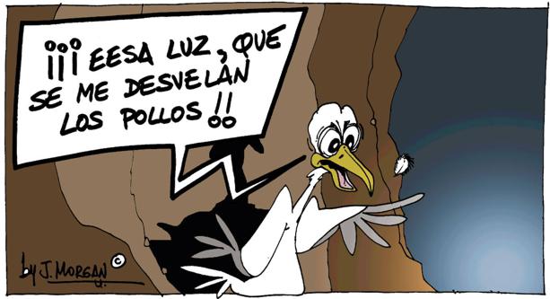 El humor de Morgan de este martes 10 de agosto