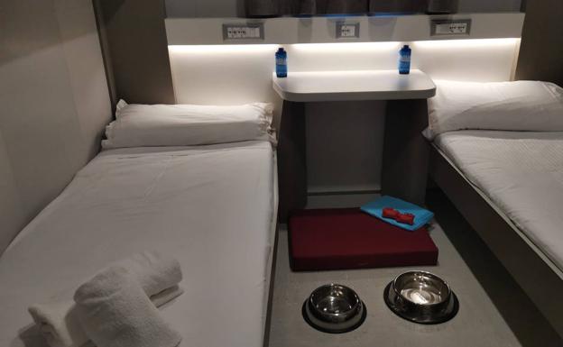 Naviera Armas Trasmediterránea estrena camarotes para mascotas