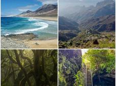 Canarias, reina de las redes sociales este verano 2021