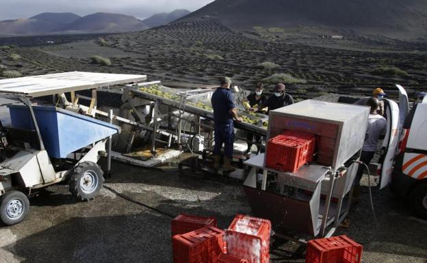 Los vinos de 2020, muy buenos