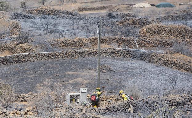 El incendio de La Palma afectó a 60 viviendas y sigue en nivel 2