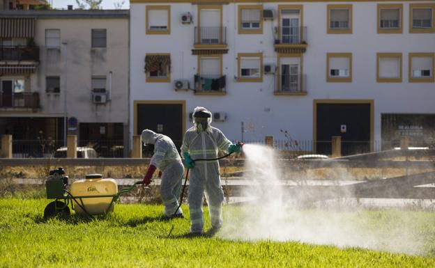 Una mujer fallece por el virus del Nilo en Sevilla