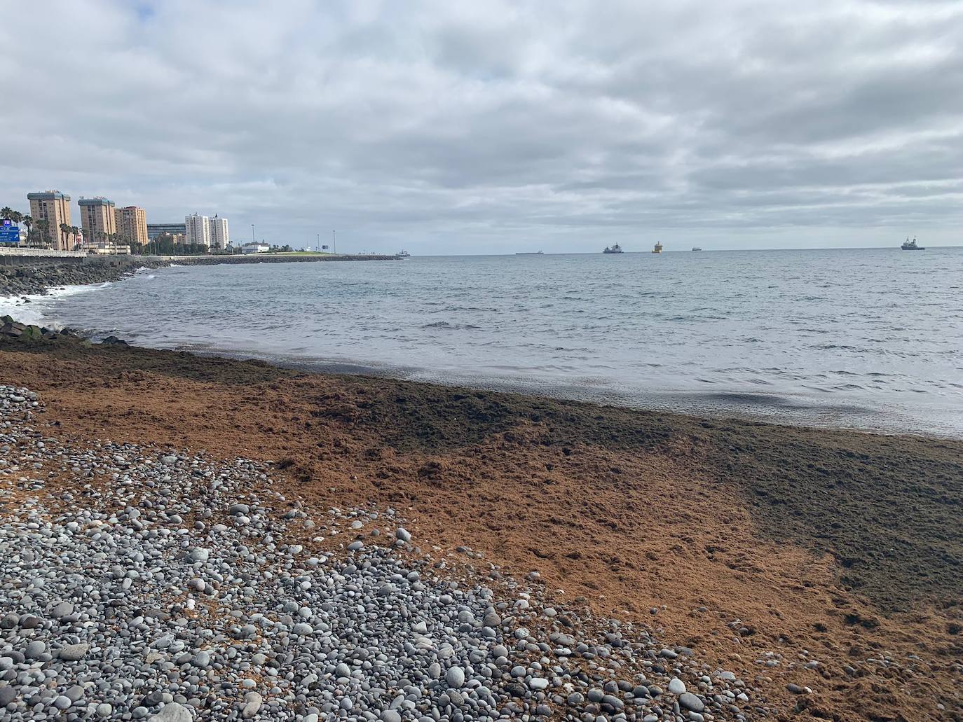 Las sebas invaden San Cristóbal