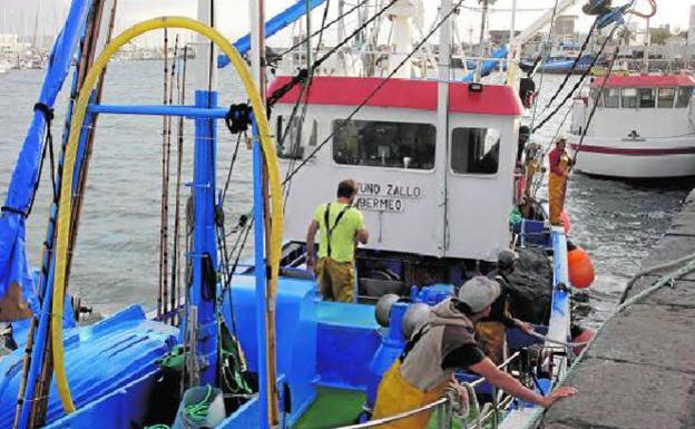 La pesca fresca apenas pudo generar 4,7 millones de euros en ingresos en 2020